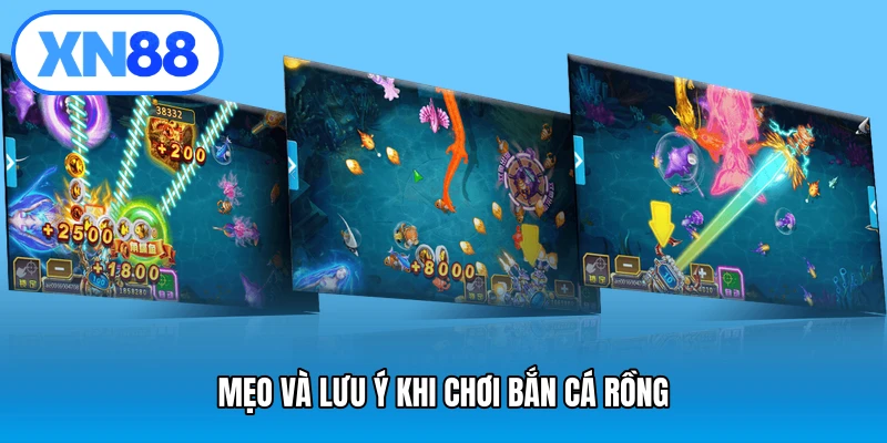 Mẹo và lưu ý khi chơi bắn cá rồng